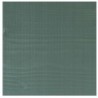 Rubio Monocoat WoodCream do drewna Forest Green 1L