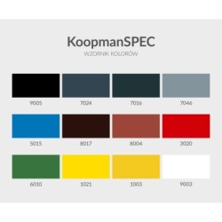 Koopmans Farba Wielozadaniowa Spec RAL 9005 Czarny 0,75L